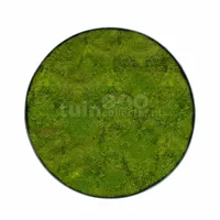 Mosschilderij Platmos Ø80cm