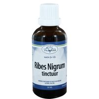 Ribes nigrum tinctuur - thumbnail