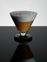 Tom Dixon verres de cocktail Puck (lot de 2) - Blanc