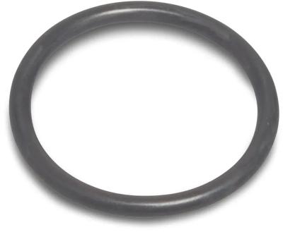 Oase Living Water (nr3.) Oase Rubberinzetstuk AquaMax Eco Premium 12/16/20000