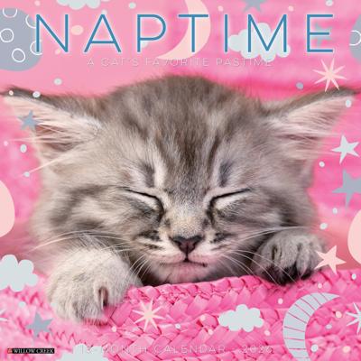 Cat Naps Kalender 2026