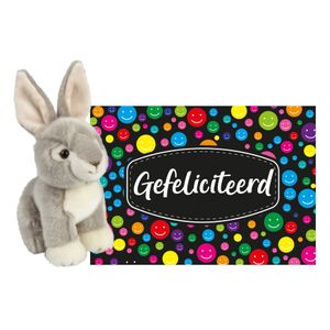 Pluche knuffel cadeau Konijn 18 cm met A5-size Gefeliciteerd wenskaart