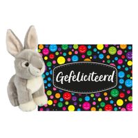 Pluche knuffel cadeau Konijn 18 cm met A5-size Gefeliciteerd wenskaart - thumbnail