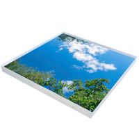 LED Active Sky paneel 1200x1200x100mm 6500K wolken en bomen LED Active Sky paneel 1200x1200x100mm 6500K wolken en bomen