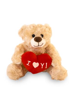 Teddybeer lichtbruin - 20 cm - I love you