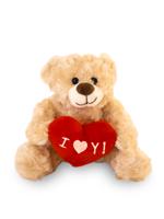 Teddybeer lichtbruin - 20 cm - I love you