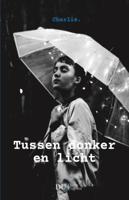 Tussen donker en licht (Paperback)