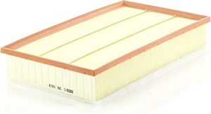 Luchtfilter C38003