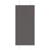 VidaXL Plissé rolgordijn 65x100 cm stofbreedte 64,4 cm polyester zwart