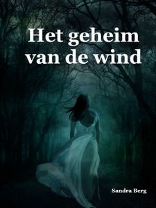 Het geheim van de wind - Sandra Berg - ebook