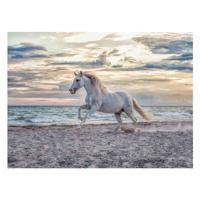 Ravensburger Legpuzzel paard op het strand, 500st.