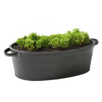 Plantenpot/bloempot teil Farmer - ovaal - zink - zwart - L25 x D18 X H11 cm