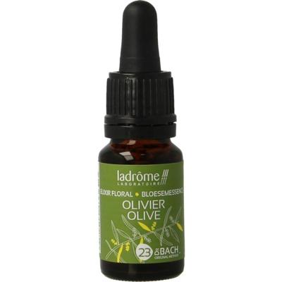 Ladrome Olijf bio