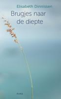 Brugjes naar de diepte (Paperback)