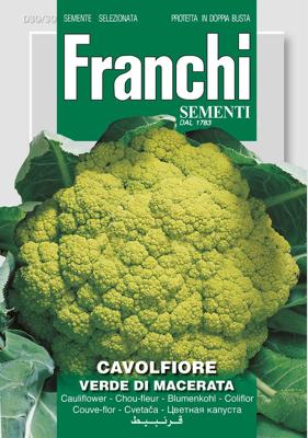 Bloemkool, Cavolfiore Verde de Macerata 30/30 - Franchi