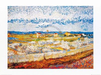 Kunstdruk Vincent Van Gogh - Pesco in fiore 80x60cm