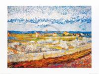 Kunstdruk Vincent Van Gogh - Pesco in fiore 80x60cm