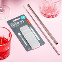 Uitschuifbaar rvs rietje in reisverpakking