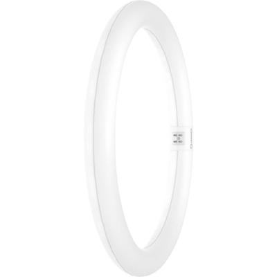 LEDVANCE LED-buis-Globe Energielabel: F (A - G) G10q 18.3 W Warmwit 1 stuk(s) (Ø x l) 300.00 mm x 300.00 mm LEDVANCE LED-buis-Globe Energielabel: F (A - G) G10q 18.3 W Warmwit 1 stuk(s) (Ø x l) 300.00 mm x 300.00 mm
