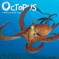Octopus Kalender 2026