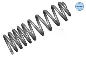Chassisveer 1007390022