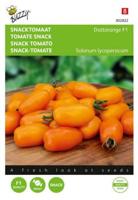 Zaden snacktomaat dattorange f1 8 zaden - Buzzy