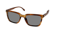 Leeszonnebril Vista Bonita Cubo XL -Amber Dawn-+2.50