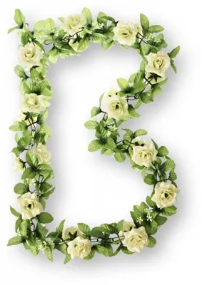 Bloemenstreng Basil Rozen-Wit