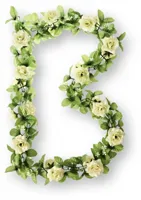 Bloemenstreng Basil Rozen-Wit