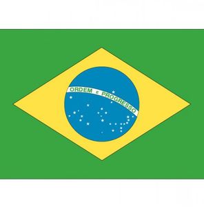 10x Vlag Brazilie stickers 10 cm