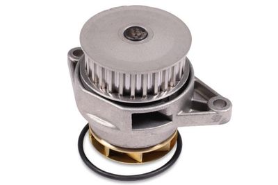 Waterpomp P540