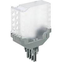 WAGO 2042-341 Blindstekker 5 stuk(s)
