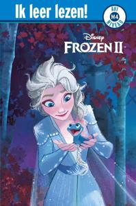 AVI - Disney Frozen 2 (Hardback)