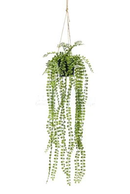 Kunst Hangplant Ficus Pumila 60cm