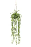 Kunst Hangplant Ficus Pumila 60cm
