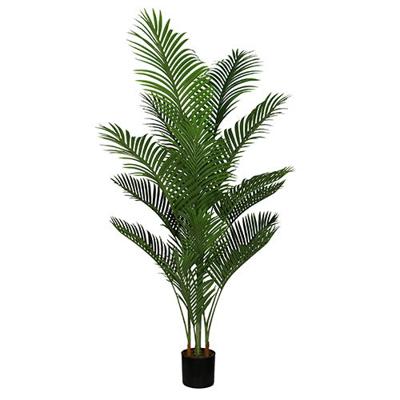 Areca palm 165 cm - Buitengewoon de boet
