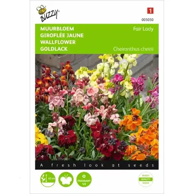 Cheiranthus , Muurbloem Fair Lady gemengd