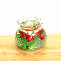 Poppenhuis miniatuur transparante glazen vis tank aquarium speelgoed (rood)
