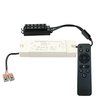 LED driver - Dimbaar - inclusief afstandsbediening - 12 Volt - 36 Watt - Compatibel met mini inbouwspots en verandaverlichting - Voor binnen