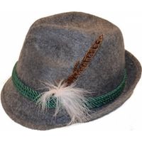 Grijze bierfeest/oktoberfest hoed verkleed accessoire voor dames/heren   -