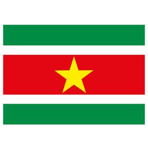 Vlag van Suriname stickers - 7.5 x 10 cm - Binnen/buiten
