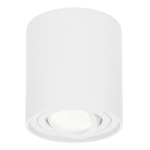 Dimbare LED Opbouwspot/plafondspot Ray Wit 5W 4000K IP20 kantelbaar