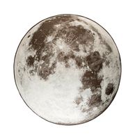 Zuiver Outdoor Vloerkleed 'Moon' 280cm, kleur Grijs