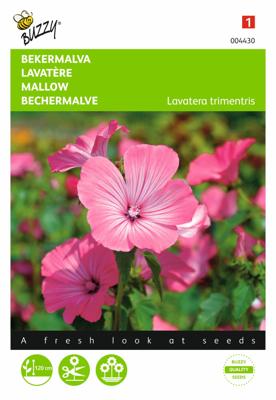 Lavatera trimestris Rose Rood - Buzzy