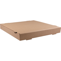 Pizzadoos | golfkarton | 33x33x4cm | americano | bruin | 100 stuks
