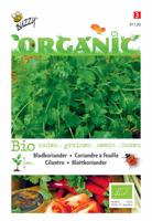 Organic Koriander (Skal 14725) - Buzzy