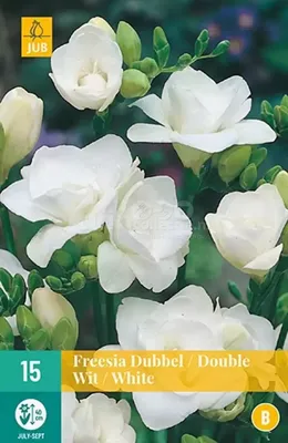 Bloembollen Freesia Dubbel Wit 15st