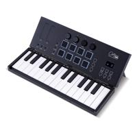 Carry-On FC25 opvouwbaar MIDI-keyboard - thumbnail