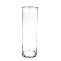 Hoge cilinder vaas/vazen van glas 50 x 15 cm - thumbnail
