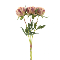 Paeony Marlie bundle a 3 pcs peach 63 cm kunstbloem Erutan Avon - Erutan avon